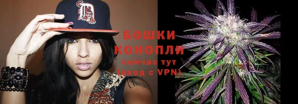 бошки Алзамай