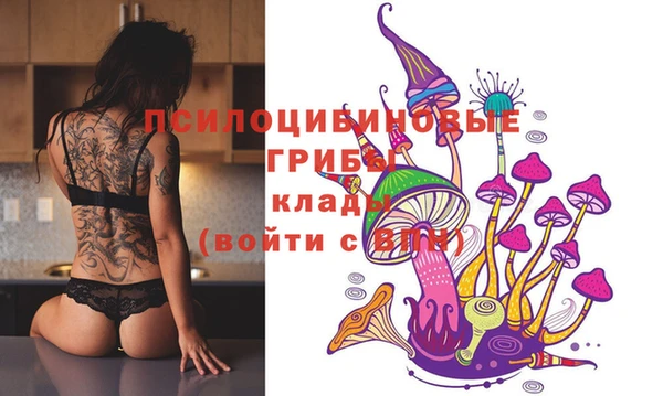 бошки Алзамай