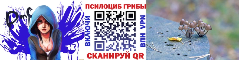 Псилоцибиновые грибы MAGIC MUSHROOMS  цены наркотик  Дзержинский 